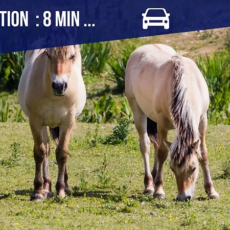 La Framboisine -plage A 6min-jardin-wifi-parking * Favières