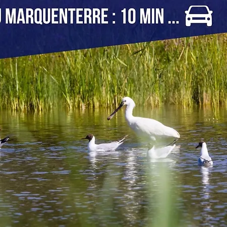 La Framboisine -plage à 6min-jardin-wifi-parking *